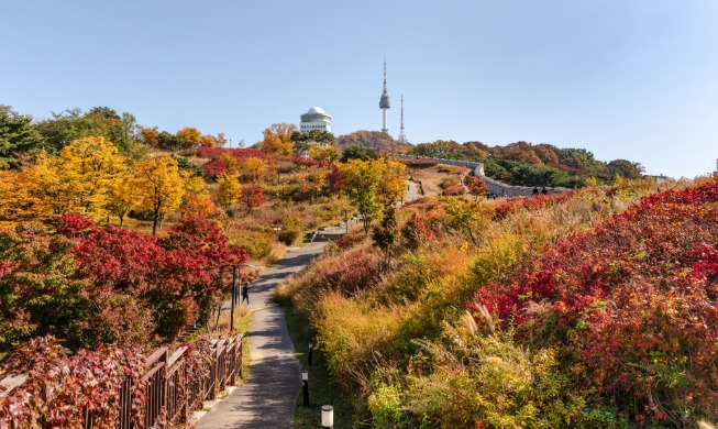 El palacio Gyeongbokgung encabeza la lista de atractivos de otoño en Seúl