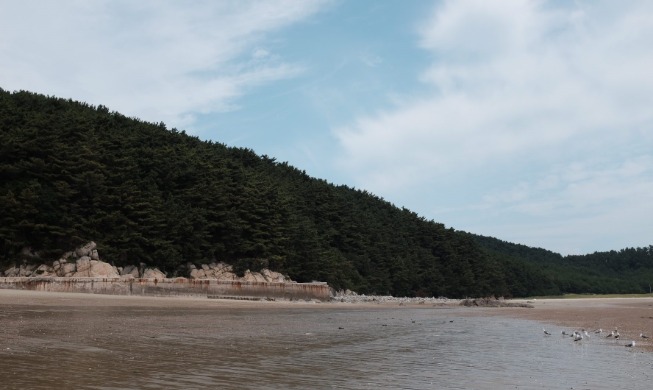 Seungbongdo, pequeño paraíso en las islas de Incheon