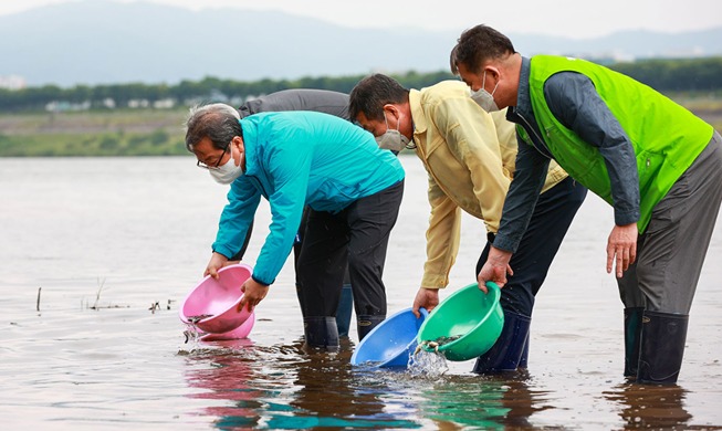 [Foto del día] Liberando 630.000 crías de carpín en Namyangju