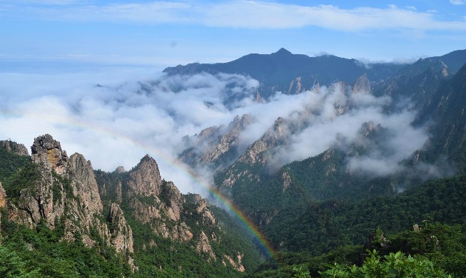 Ecoturismo en tiempos de COVID-19: seis parques nacionales de Corea que no te puedes perder