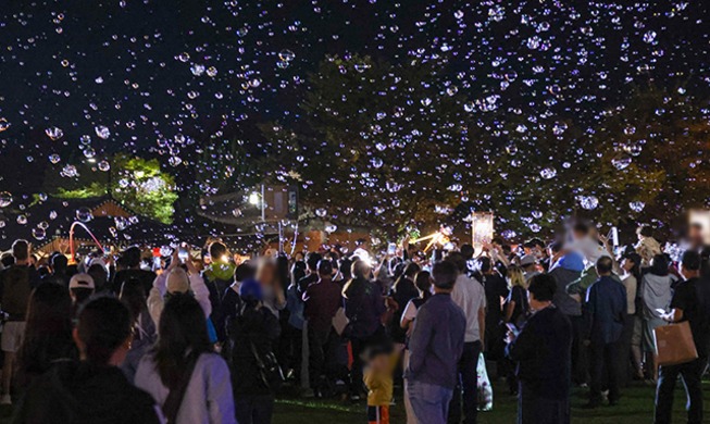Festival Cultural de Silla