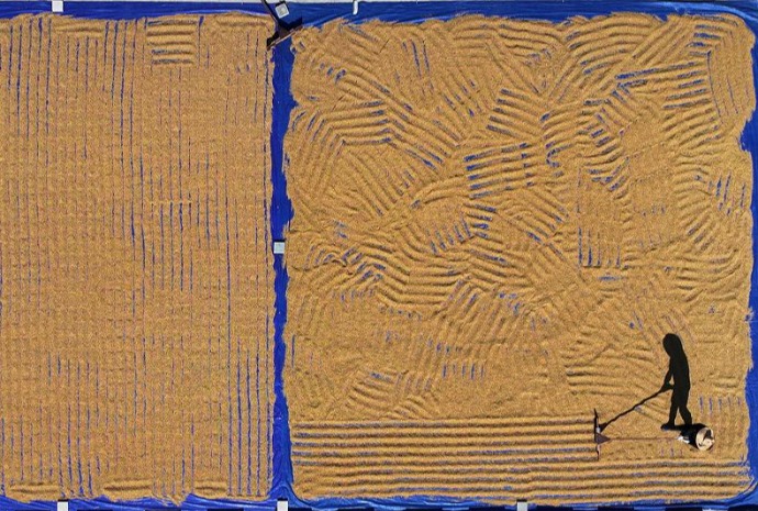 Labores de secado de arroz en Chuncheon