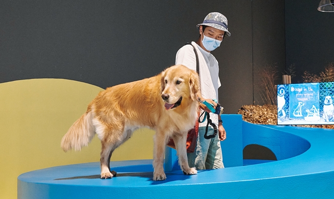 Museo abrió puertas para que perros y amos lo exploraran juntos