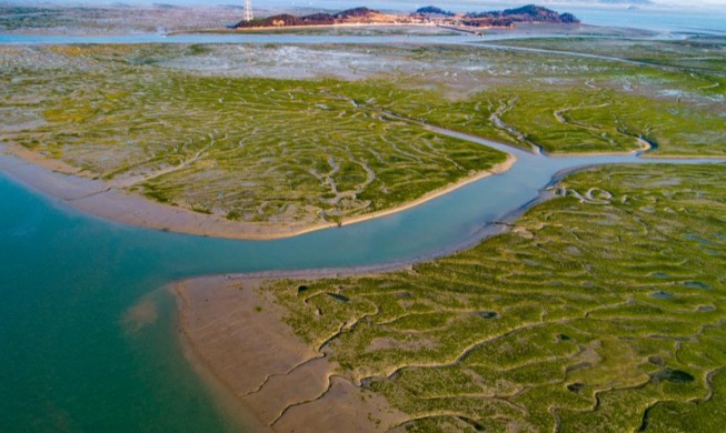 Cuatro nuevas marismas coreanas se suman previsiblemente al Patrimonio Mundial de la Unesco