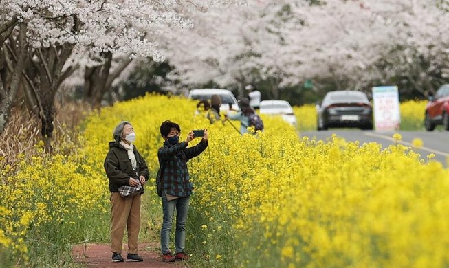 Atracciones florales en la isla de Jeju