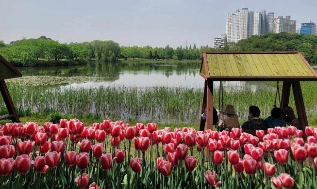 La Feria Internacional de Flores de Goyang cautiva la atención de sus visitantes