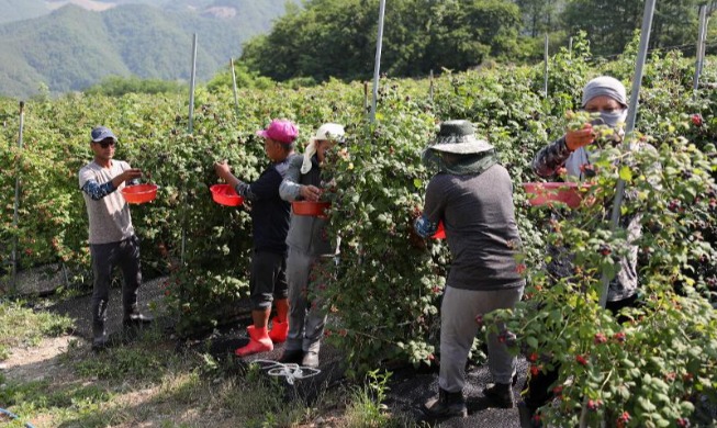 Corea facilitará la contratación de extranjeros en regiones con declive demográfico