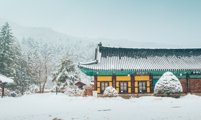 Corea País de las Maravillas en invierno: 5 lugares para disfrutar de actividades en la nieve