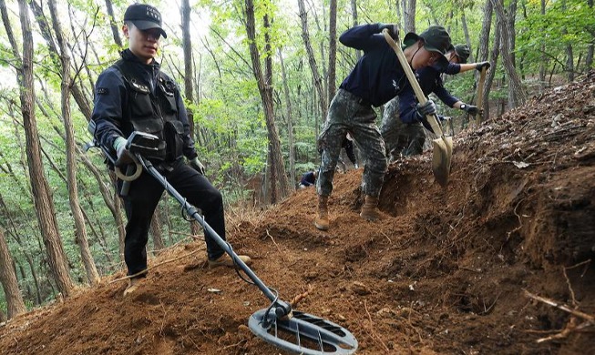 Excavación de restos de la Guerra de Corea