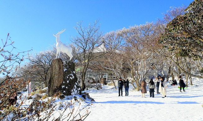 Turistas disfrutan del invierno en la montaña Hallasan de la isla de Jeju