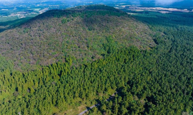 [Gestión administrativa eficiente de Corea] ④ El modelo exitoso de reforestación 