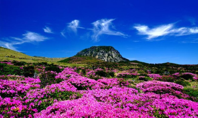 La montaña Hallasan, un lugar ideal para disfrutar de la primavera