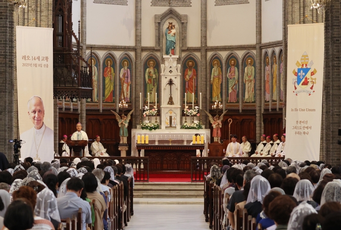 Misa para conmemorar la elección del papa León XIV