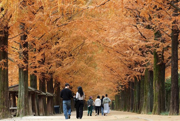 El otoño en su máximo esplendor