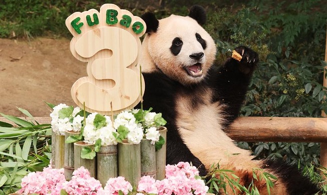 La bebé panda Fu Bao celebra su 3er. cumpleaños