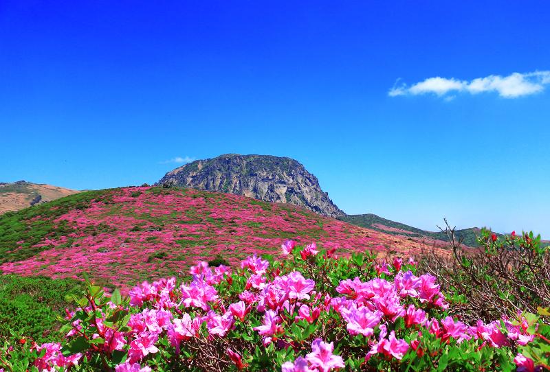 한라산 국립공원