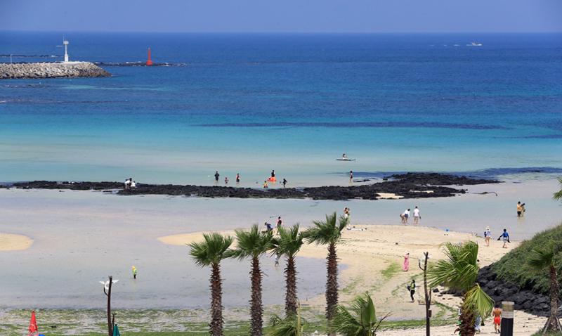 제주 해수욕장 일제 개장