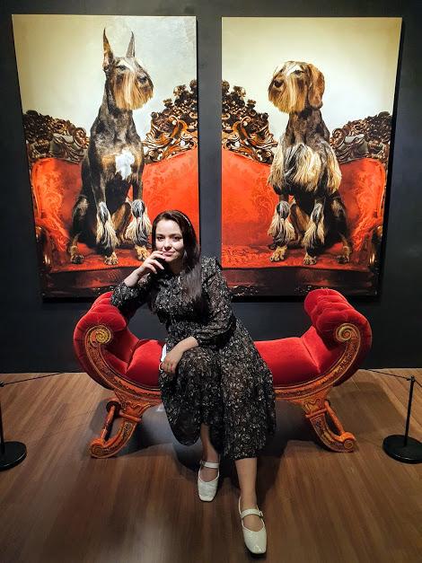 museo dah 4