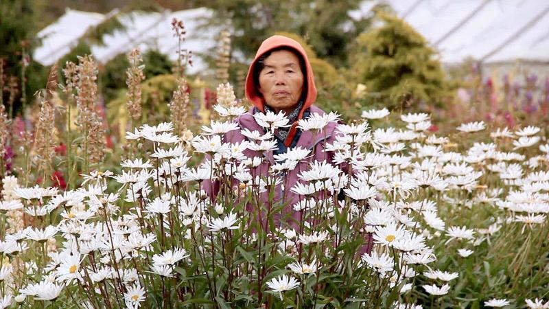 El título de este documental proviene del idioma coreano y se traduce como “abuela”. Es justamente la abuela del mismo director Daniel Kim la protagonista principal. | Twitter de FIDBA