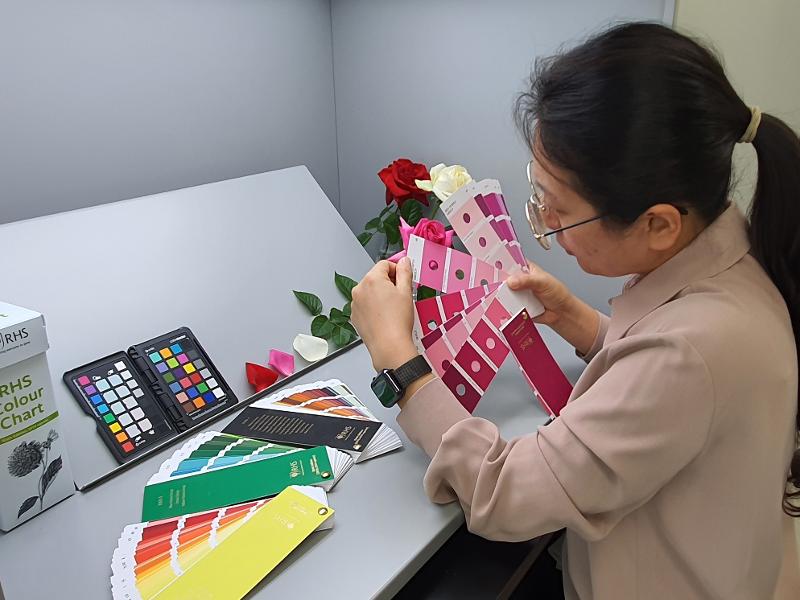 Una investigadora del Servicio de Variedades y Semillas de Corea (KSVS) prueba el programa sobre análisis de imágenes en pruebas de variedades de plantas nuevas desarrolladas por la organización.
