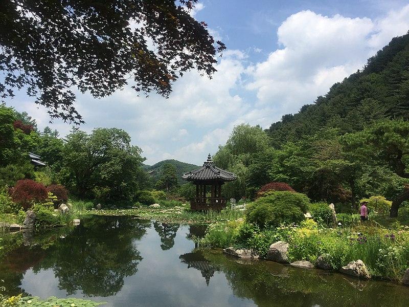 Jardín de la calma matutina, también conocido como Garden of Morning Calmfue inaugurado en mayo de 1996 teniendo como fondo una espectacular vista de la montaña Chungnyeongsan. | Wikimedia Commons