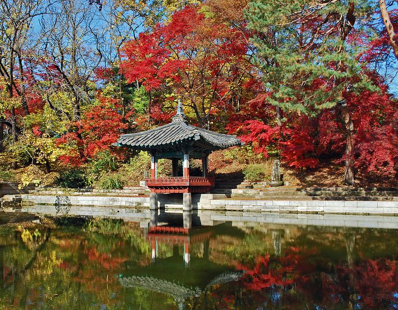 El palacio Changdeokgung es considerado uno de los palacios más importantes de Corea del Sur, siendo una visita obligatoria para todos los turistas que se encuentran viajando por Corea del Sur. | Kirk K en Flickr