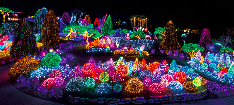 Festival de luces en el Jardín de la Calma Matutina