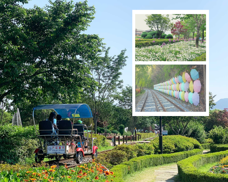 Tren bicicleta de carril | Galería de Goksung