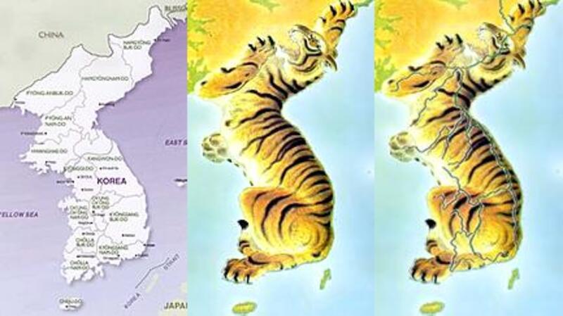 20220112_tiger_map