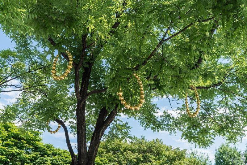 El Collar de oro del artista contemporáneo francés Jean-Michel Othoniel, que se exhibe en el Parque de Esculturas al Aire Libre del Museo de Arte de Seúl en el Distrito Jung-gu de la ciudad, es lo que dice que lo representa a sí mismo. | Estudio de arte CJY 