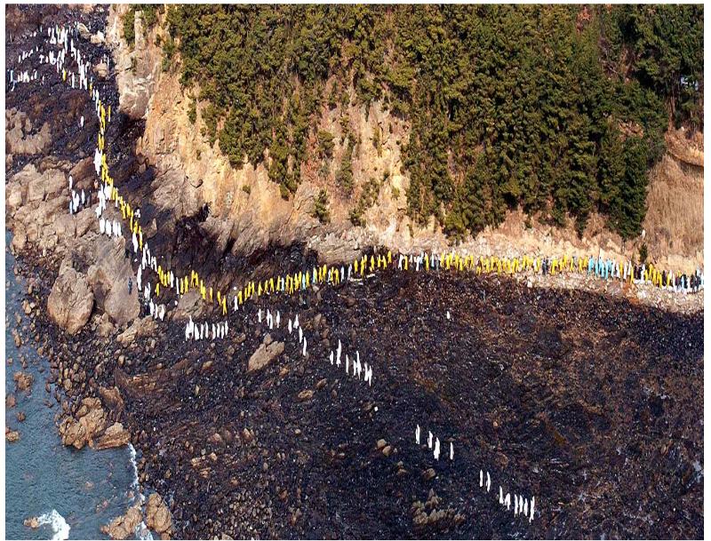  El registro de superación de los daños causados por el incidente del petróleo en Taean fueron incluidos el 26 de noviembre en la lista de la región de Asia-Pacífico de la Memoria del Mundo de la UNESCO, debido a que contienen ejemplos de superación de desastres ambientales a gran escala a través de la cooperación público-privada
