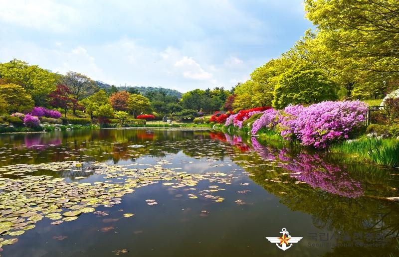 La foto muestra el arroyo Hyeonchungcheon atraviesa el centro del parque del Cementerio Nacional de Seúl, ubicado en el distrito Dongjak-gu, Seúl. | Cementerio Nacional de Seúl