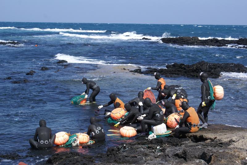 La foto muestra las haenyeo (buceadoras) preparándose para bucear. El sistema de pesca de las haenyeo de Jeju ha sido catalogado como uno de los Sistemas Importantes del Patrimonio Agrícola Mundial (SIPAM, según sus siglas en inglés), durante la asamblea general de la Organización de las Naciones Unidas para la Alimentación y la Agricultura (FAO), que se llevó a cabo del 8 al 10 de noviembre (hora local) en Roma, Italia. | Provincia autónoma especial de Jeju 
