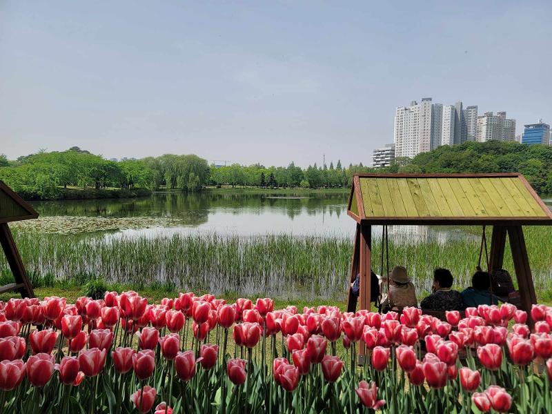 El 26 de abril, los visitantes disfrutan del ambiente primaveral en el parque del lago Ilsan, en la ciudad de Goyang, provincia de Gyeonggi-do, en el marco de la inauguración de la Feria Internacional de Flores de Goyang.