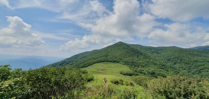 Se muestra una vista panorámica del Bosque Ecológico de Gombaeryeongen el condado de Inje-gun, provincia de Gangwon-do.