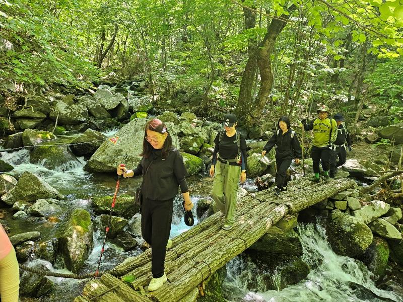 Unos excursionistas caminan en el bosque Punchbowl de la DMZ en el condado de Yanggu, provincia de Gangwon.