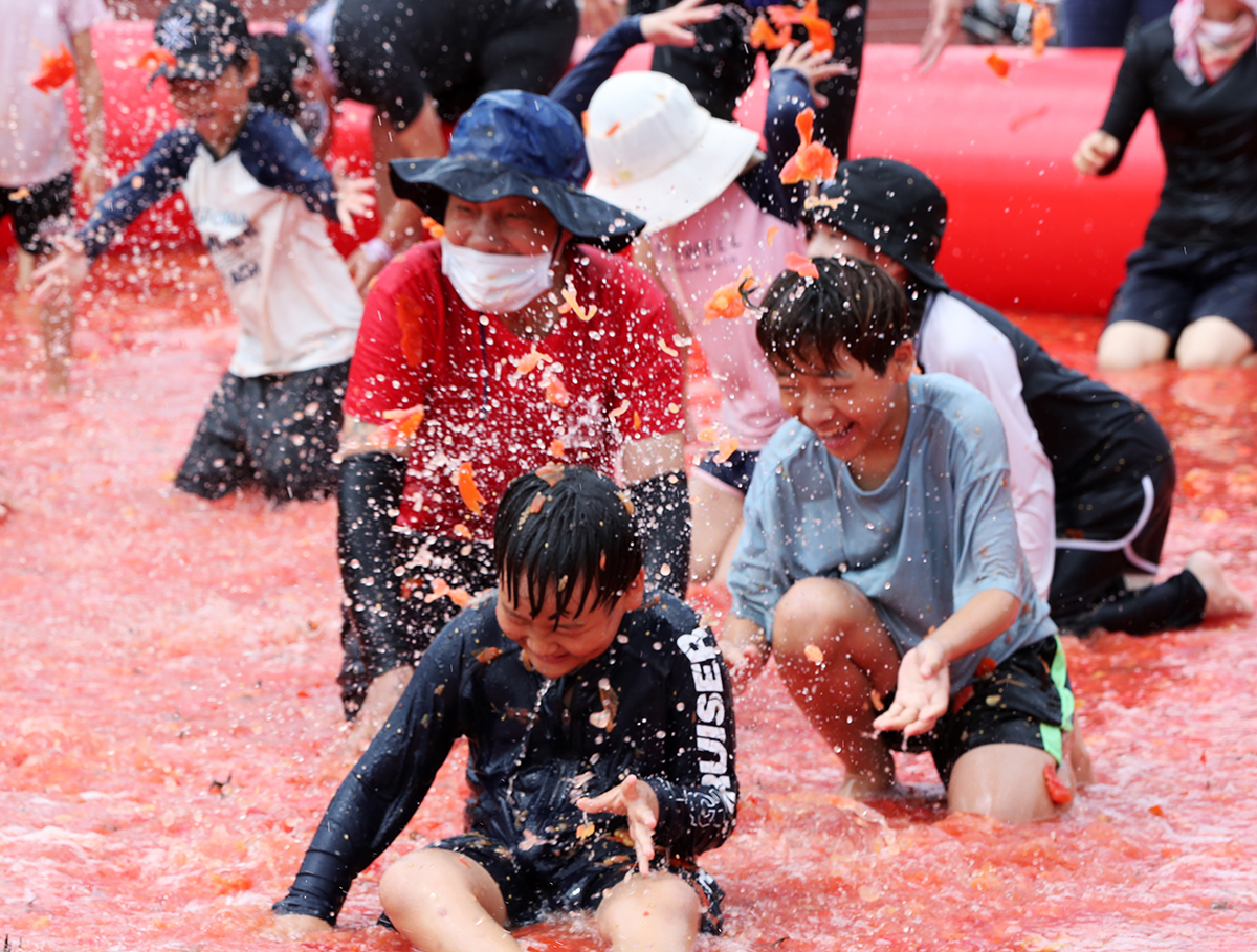 El día de la inauguración del Festival del Tomate de Dunnae Highland, el 9 de agosto, unos niños lanzan y aplastan tomates en una enorme piscina para encontrar premios escondidos en su interior, como anillos de oro, en el Parque Deportivo de Dunnae, en el condado de Hoengseong-gun, provincia de Gangwon-do. Bajo el lema 