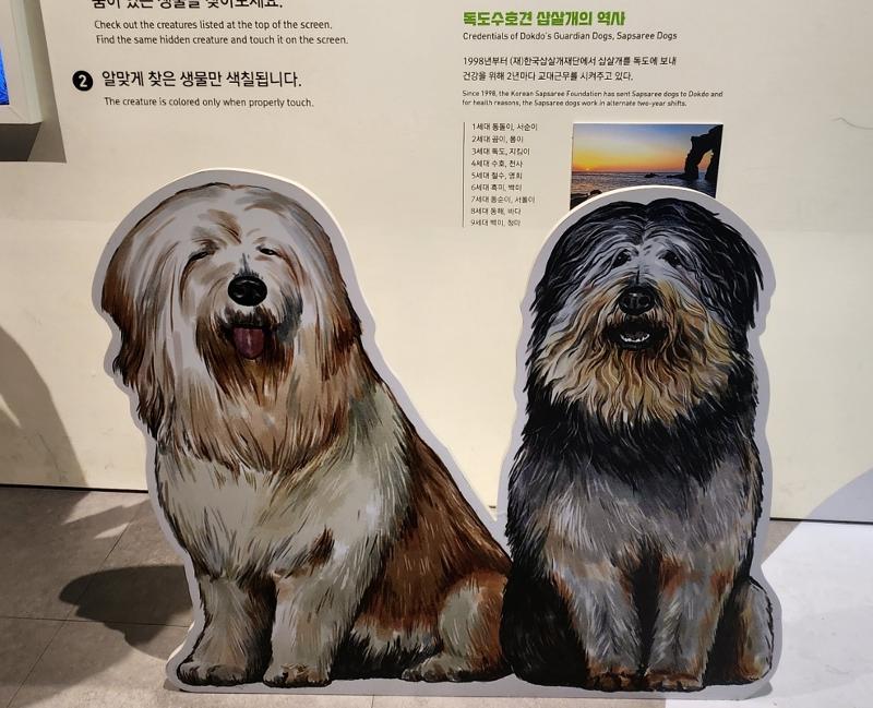 Imágenes de perros sapsaree expuestas en el Museo de Dokdo de Seúl