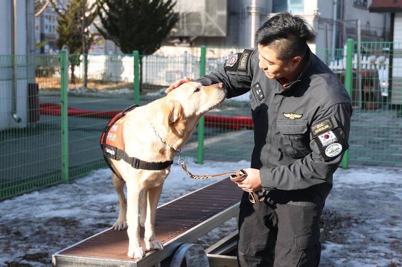 Un adiestrador en el Centro de Seguridad Onam 119 en la ciudad de Namyangju, provincia de Gyeonggi-do, el 19 de enero de 2024, acaricia al perro de rescate Arongi, que se jubila tras unirse al Equipo de Respuesta Especial del Norte de Gyeonggi-do en 2017. El can particip&oacute; en 312 operativos de rescate a lo largo de siete a&ntilde;os, rescatando a cuatro supervivientes y encontrando cinco cad&aacute;veres. | Agencia de Noticias Yonhap