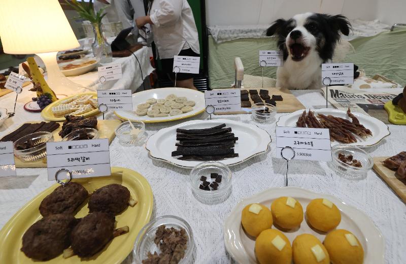 La foto muestra una comida diseñada para ser compartida entre personas y sus mascotas durante el Seoul Pet Show, celebrado en septiembre de 2023 en el Centro de Exposiciones y Convenciones de Seúl (SETEC, según su acrónimo en inglés), en el distrito de Gangnam-gu en Seúl. | Agencia de Noticias Yonhap