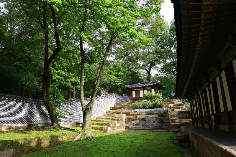 Sol matinal, canto de los pájaros y árboles centenarios: así se presentaba el jardín del palacio Changdeokgung el 18 de mayo. 