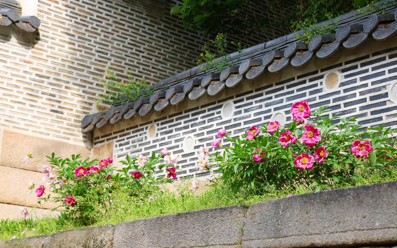 El jardín también invita a descubrir los detalles arquitectónicos de los edificios que lo componen, como los motivos tallados sobre las tejas tradicionales coreanas, llamadas giwa.