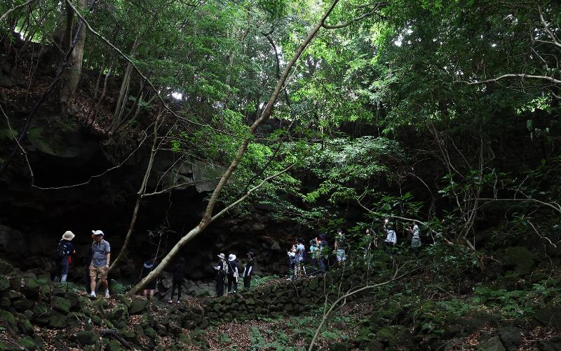 Unos participantes del programa 'Camino de Lava' caminan sobre el terreno formado por lava basáltica, el 10 de julio.