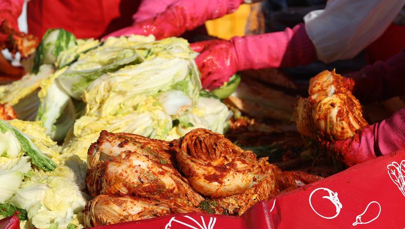 El Codex Alimentarius aprobó 'col de kimchi' como nombre oficial internacional del ingrediente básico del kimchi. En la imagen, su proceso de elaboración. | Korea.net