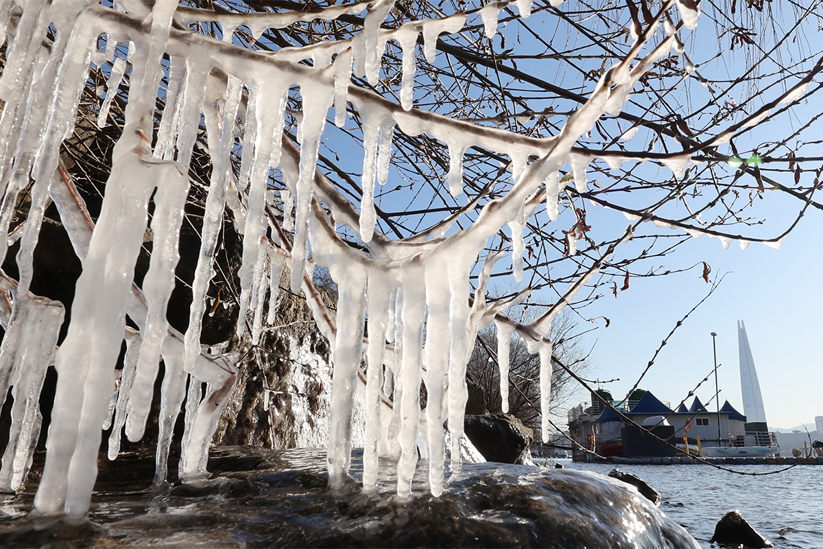Se forman carámbanos de hielo en los árboles a lo largo de la orilla del río Hangang, en el distrito de Gwangjin-gu, en Seúl, el 26 de diciembre, en medio del primer aviso por ola de frío de la temporada.
