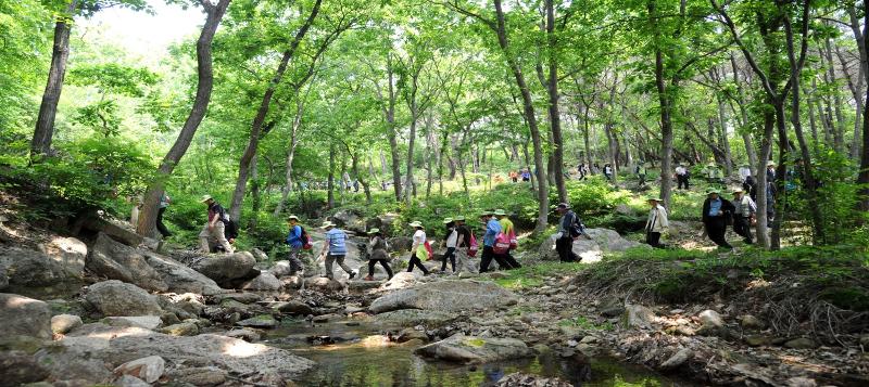 Unos senderistas disfrutan de un recorrido por el camino de circunvalación del monte Jirisan. 