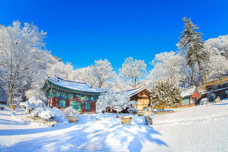 El templo Magoksa en Gongju, en la provincia de Chungcheongnam-do, está cubierto de nieve.