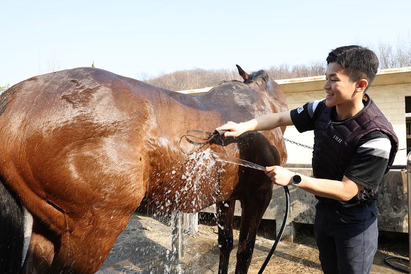 La foto muestra al cadete de segundo año Kim taebeom, bañando a su caballo. Los cadetes no solo se limitan a montar; a través del cuidado diario y el entrenamiento conjunto, forjan una confianza inquebrantab