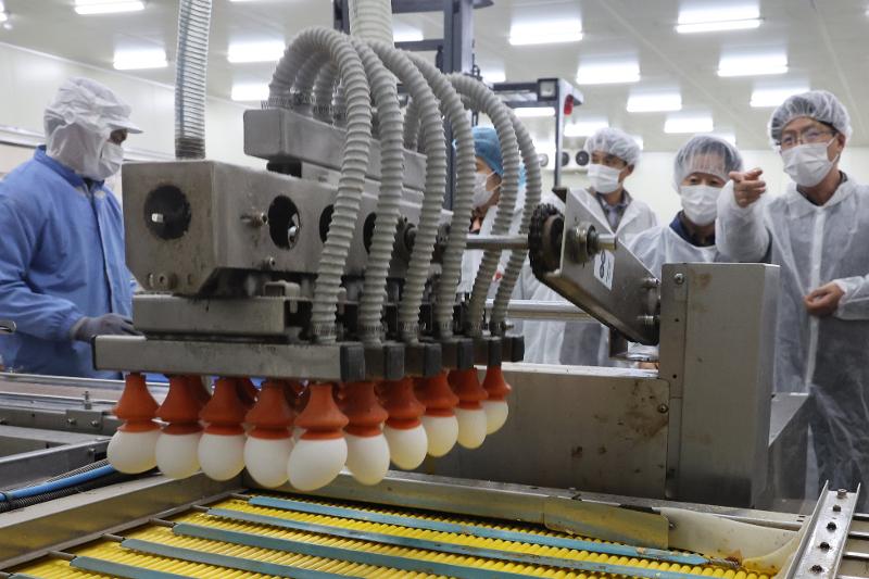 El 26 de enero, el viceministro de Pol&iacute;tica de Granos Alimentarios del Ministerio de Agricultura, Alimentaci&oacute;n y Asuntos Rurales (MAFRA, por sus siglas en ingl&eacute;s) Park Jung-hoon, junto con representantes del ministerio, de aT y la empresa importadora, supervisan el proceso de producci&oacute;n de huevos frescos importados de EE. UU. en una planta ubicada en Cheonan. | Agencia de Noticias Yonhap