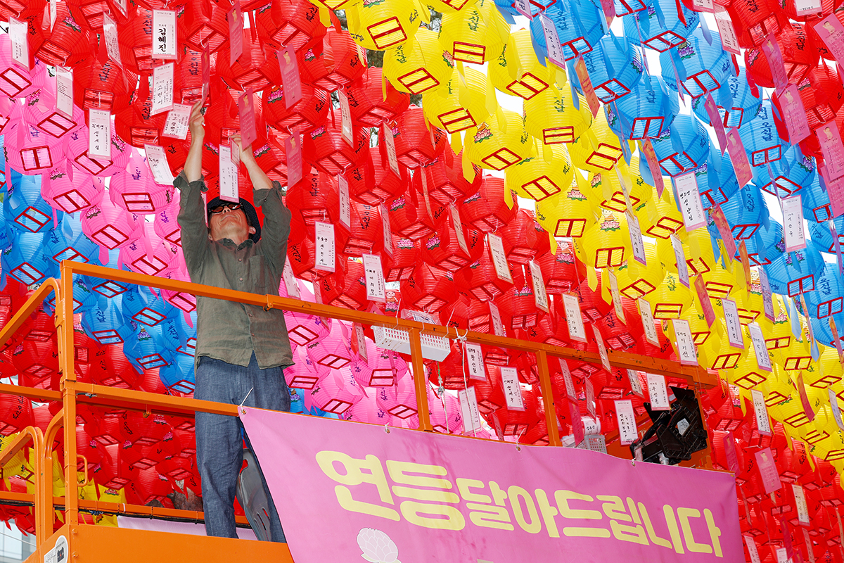 Un trabajador cuelga linternas de loto multicolores que contienen los deseos de los ciudadanos en el templo Jogyesa, en el distrito de Jongno-gu, en Se&uacute;l, el 11 de mayo,